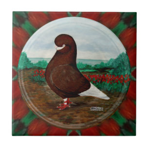 Tumbler Red Beard Pigeon Tile