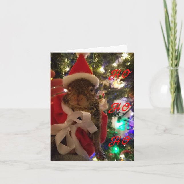 Tumbleweed Christmas Card (Front)