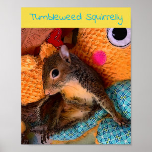 Tumbleweed poster