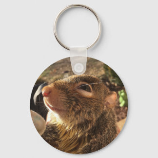 Tumbleweed smiling keychain