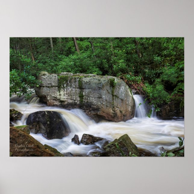 Tumbling Falls On Drakes Creek Poster (Front)