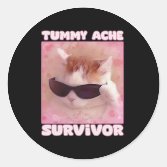 Tummy Ache Survivor Cat Funny  Classic Round Sticker (Front)