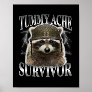 Tummy Ache Survivor Raccoon Funny Saying Cats Meme Poster