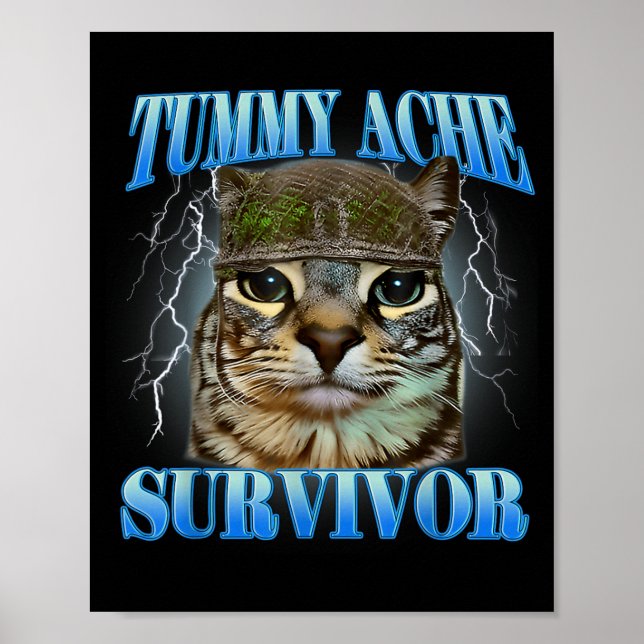 Tummy Ache Survivor Silly Cat Meme Funny Saying Poster (Front)
