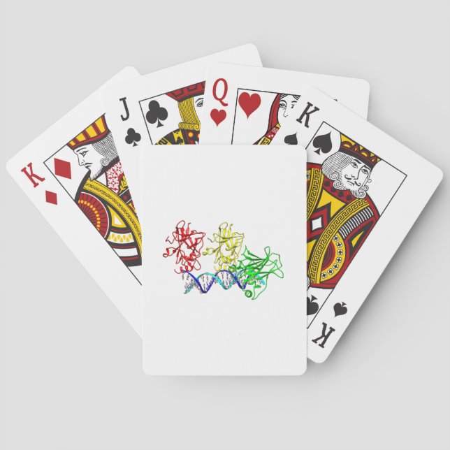 Tumour suppressor p53 playing cards (Back)