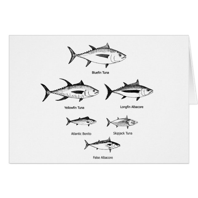 Tuna Species Logo (Front Horizontal)