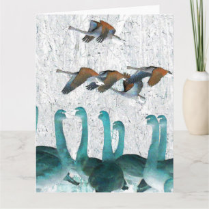 Tundra Swan Birds Wildlife Animals Greeting Card