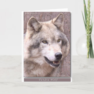Tundra Wolf Card
