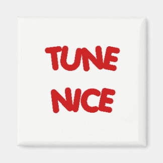 TUNE NICE Fridge Magnet