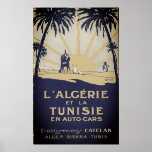 Tunis travel poster