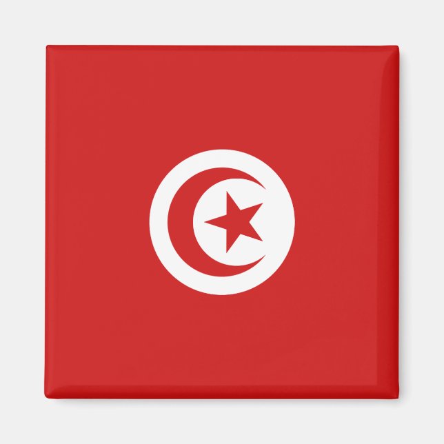Tunisia Flag Magnet (Front)