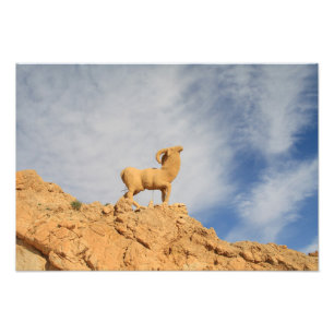 Tunisia goat statue photo print