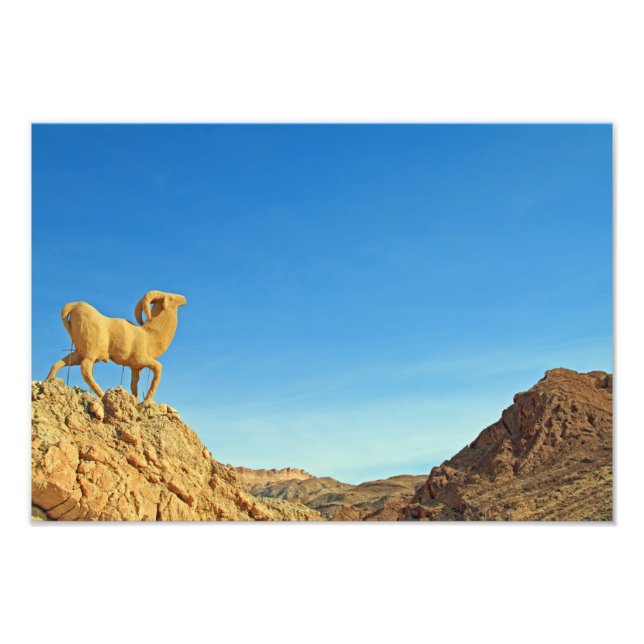 Tunisia goat statue photo print (Front)