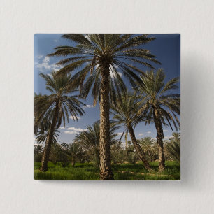 Tunisia, Ksour Area, Ksar Ghilane, date palm 2 Inch Square Button