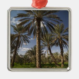 Tunisia, Ksour Area, Ksar Ghilane, date palm 2 Metal Ornament