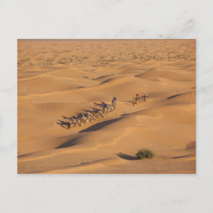 Tunisia, Ksour Area, Ksar Ghilane, Grand Erg 4 Postcard