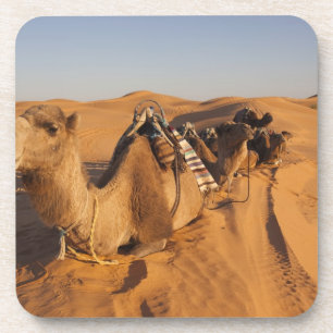 Tunisia, Ksour Area, Ksar Ghilane, Grand Erg 5 Coaster