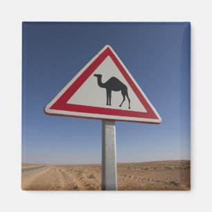 Tunisia, Ksour Area, Ksar Ghilane, Grand Erg 6 Magnet