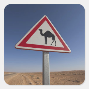 Tunisia, Ksour Area, Ksar Ghilane, Grand Erg 6 Square Sticker