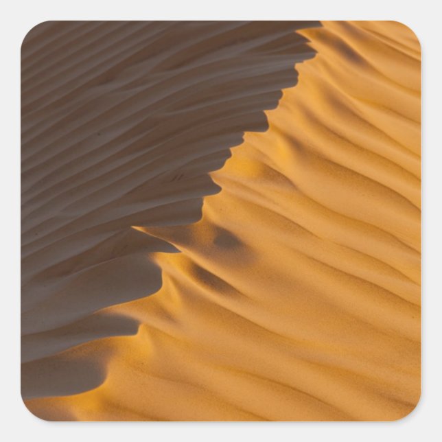 Tunisia, Ksour Area, Ksar Ghilane, Grand Erg Square Sticker (Front)