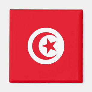 Tunisia National World Flag Magnet