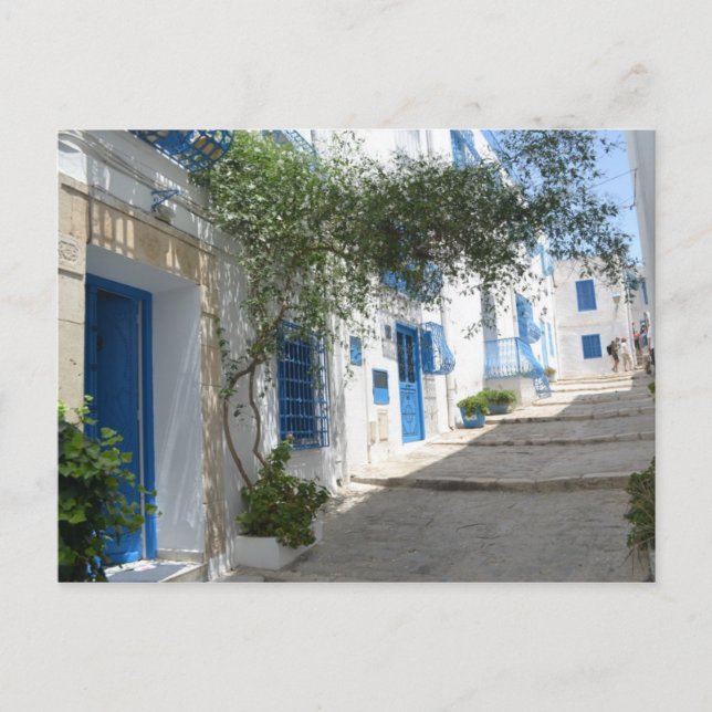 Tunisia Postcard (Front)