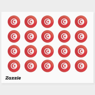 Tunisia Round Icon Flag Classic Round Sticker