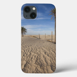 Tunisia, Sahara Desert, Douz, Great Dune, dawn iPhone 13 Case