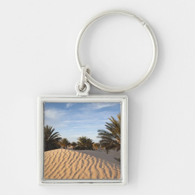 Tunisia, Sahara Desert, Douz, Great Dune, palm 2 Keychain (Front)