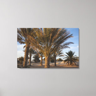 Tunisia, Sahara Desert, Douz, Great Dune, palm Canvas Print
