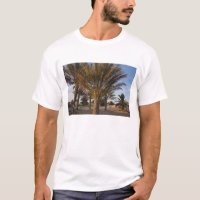 Tunisia, Sahara Desert, Douz, Great Dune, palm