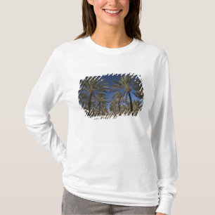 Tunisia, Sahara Desert, Douz, Zone Touristique, 2 T-Shirt