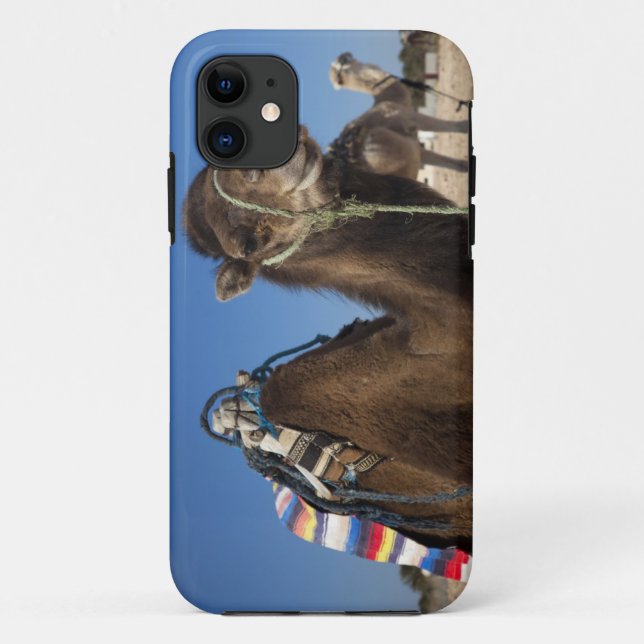 Tunisia, Sahara Desert, Douz, Zone Touristique, Case-Mate iPhone Case (Back)
