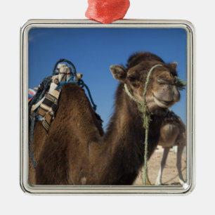 Tunisia, Sahara Desert, Douz, Zone Touristique, Metal Ornament