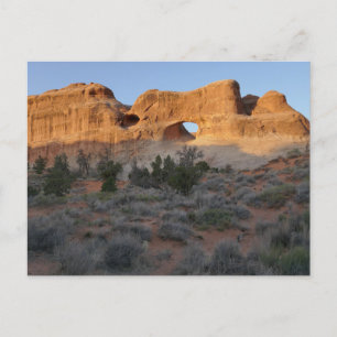 Tunnel Arch in the Morning Postcard