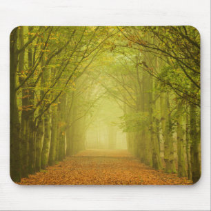 Tunnel of light in the forest mousepad