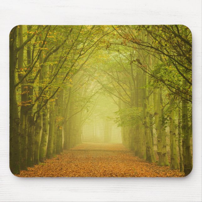 Tunnel of light in the forest mousepad (Front)