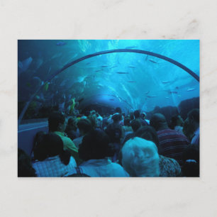 Tunnel View Postcard