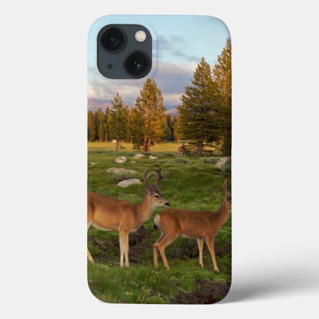 Tuolumne Meadow, Yosemite Case-Mate iPhone Case (Back)