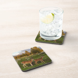 Tuolumne Meadow, Yosemite Coaster
