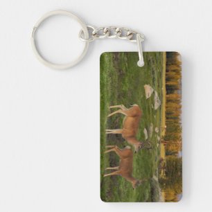 Tuolumne Meadow, Yosemite Keychain