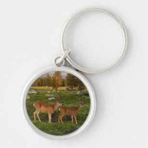 Tuolumne Meadow, Yosemite Keychain