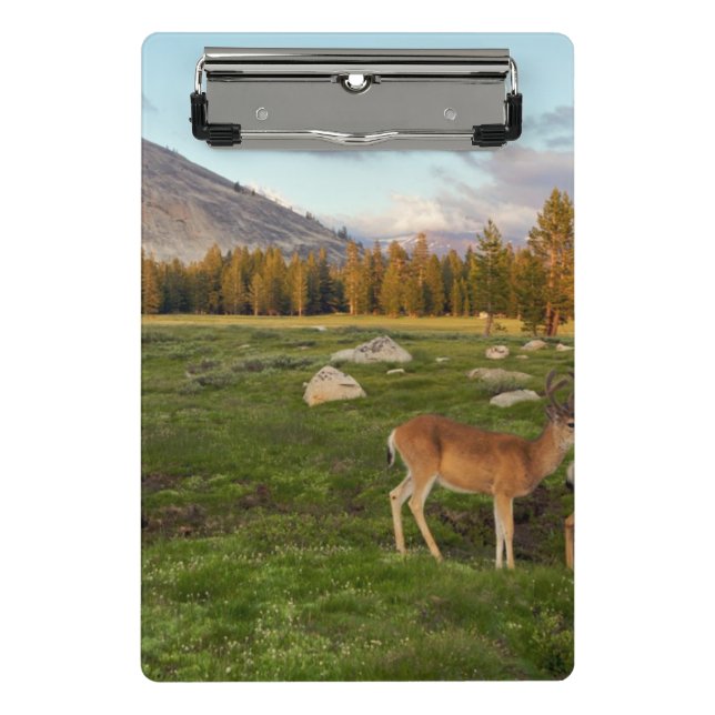 Tuolumne Meadow, Yosemite Mini Clipboard (Front)