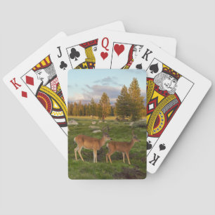 Tuolumne Meadow, Yosemite Playing Cards