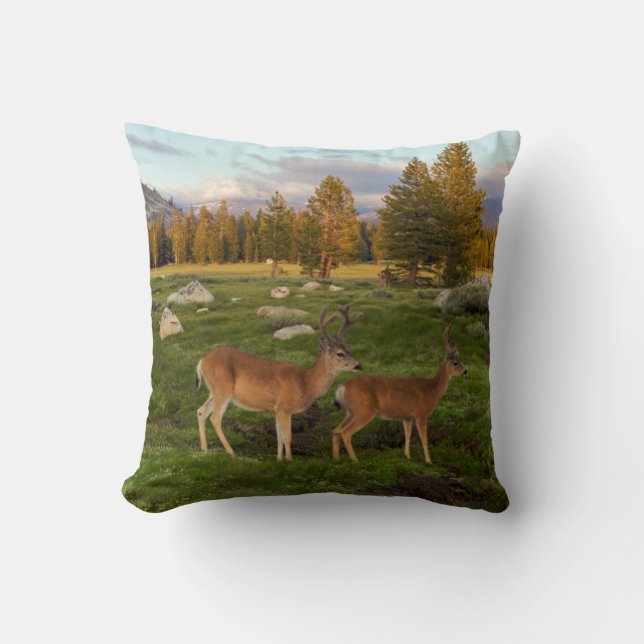Tuolumne Meadow, Yosemite Throw Pillow (Front)