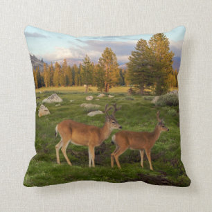 Tuolumne Meadow, Yosemite Throw Pillow