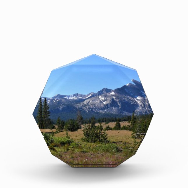 Tuolumne Meadows, Yosemite, CA Photo Block (Front)