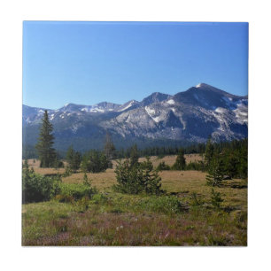 Tuolumne Meadows, Yosemite, CA Tile