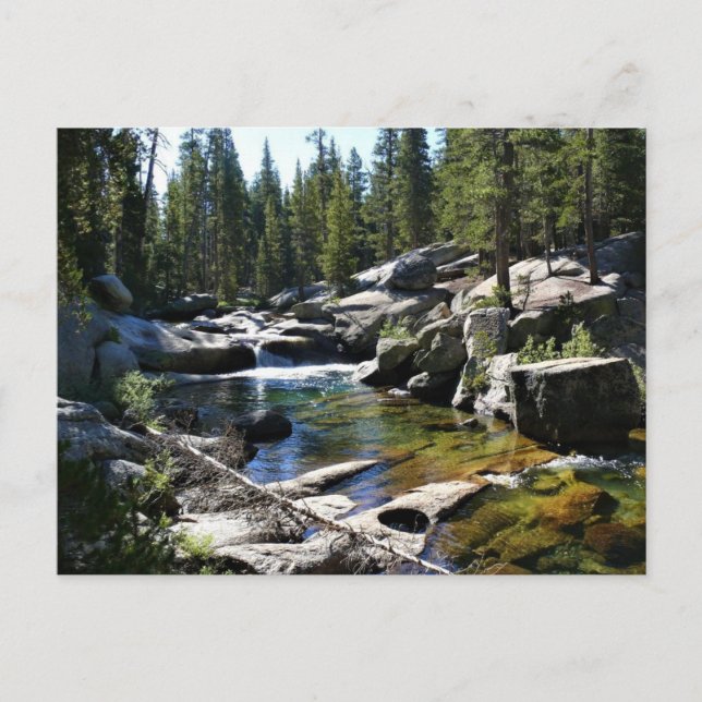 Tuolumne River in Tuolumne Meadows, Yosemite, CA Postcard (Front)