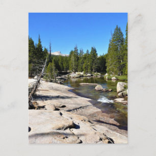 Tuolumne River with Cathedral Peak, Yosemite, CA Postcard